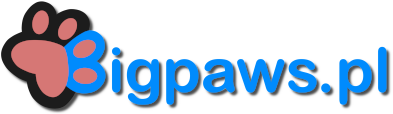 bigpaws.pl logo